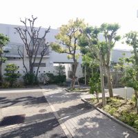 西宮市桜町の売買物件/緑豊かな中庭。