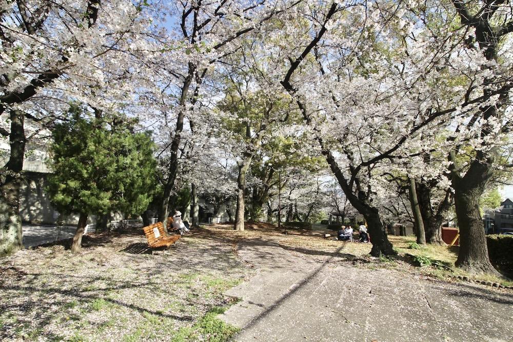 西宮市桜町の売買物件/すぐそばの豊楽公園も花見スポット。