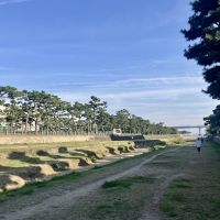 芦屋市平田町の売買物件/ここの散歩が日課になること間違いなし。