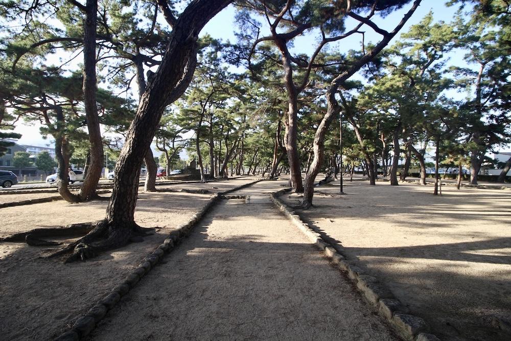 芦屋市平田町の売買物件