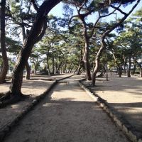 芦屋市平田町の売買物件