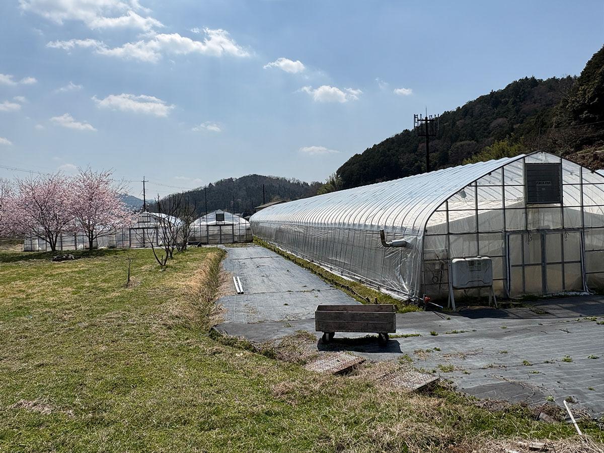 丹波篠山市瀬利の売買物件/ビニールハウスもセットです