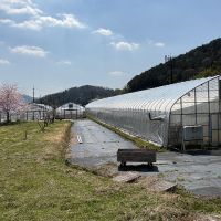 丹波篠山市瀬利の売買物件/ビニールハウスもセットです