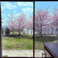 丹波篠山市瀬利の売買物件/LDKからお花見