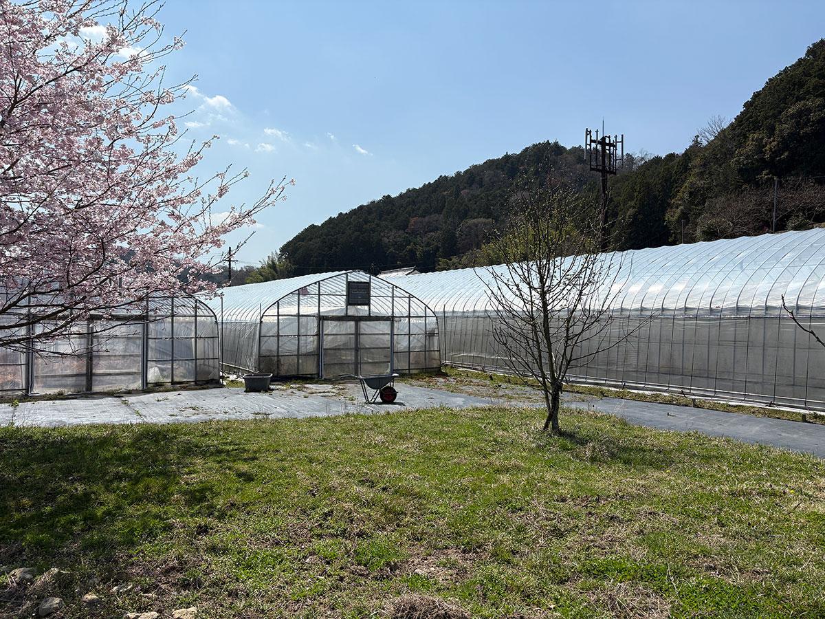 丹波篠山市瀬利の売買物件/裏手からの外観