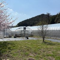 丹波篠山市瀬利の売買物件/裏手からの外観