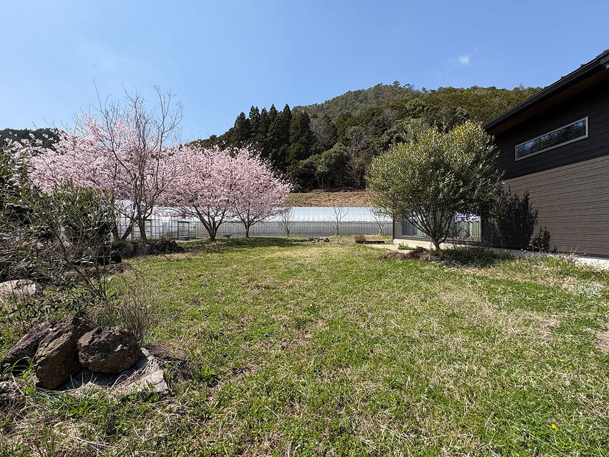 丹波篠山市瀬利の売買物件/広い庭