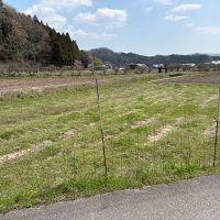 丹波篠山市瀬利の売買物件/物件前の農地（畑）
