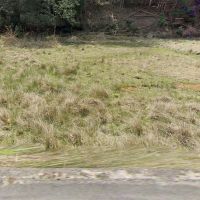 丹波市市島町北岡本の売買物件/物件前の農地もセットです