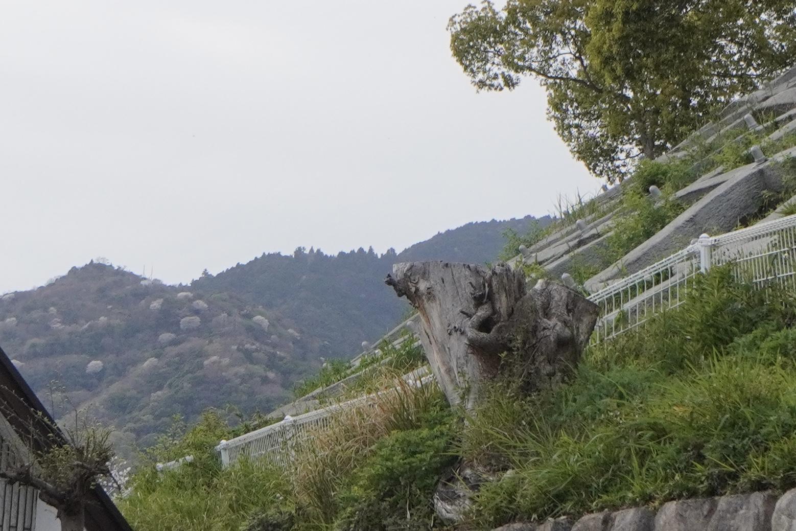 神戸市灘区赤松町の売買物件/山もすぐそこに見える