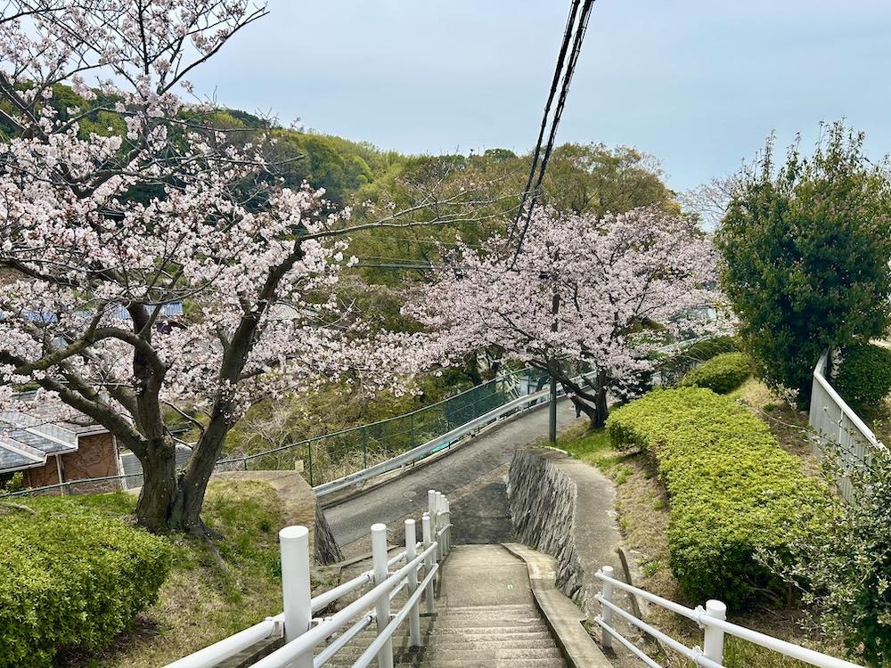神戸市垂水区塩屋町の賃貸物件/ゆるく長い坂を登った先の階段の先に当物件はあります。