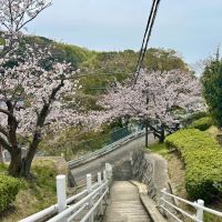 神戸市垂水区塩屋町の賃貸物件/ゆるく長い坂を登った先の階段の先に当物件はあります。
