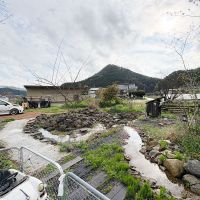 丹波篠山市北嶋の売買物件/ひろーい庭