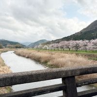 丹波篠山市北嶋の売買物件/物件への道