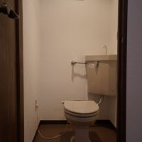 西宮市南越木岩町の賃貸物件/少し古さが残るトイレ