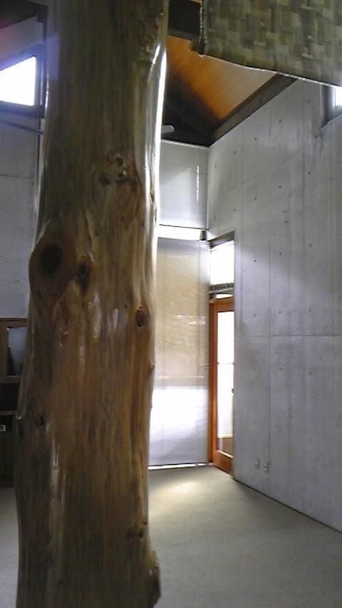 西宮市山口町船坂の売買物件/リビングの有機的な柱とコンクリート打ちっぱなしの質感○