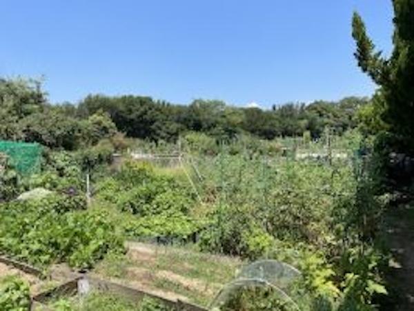 神戸市須磨区高倉台の売買物件/高倉台ファミリーファーム