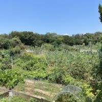 神戸市須磨区高倉台の売買物件/高倉台ファミリーファーム