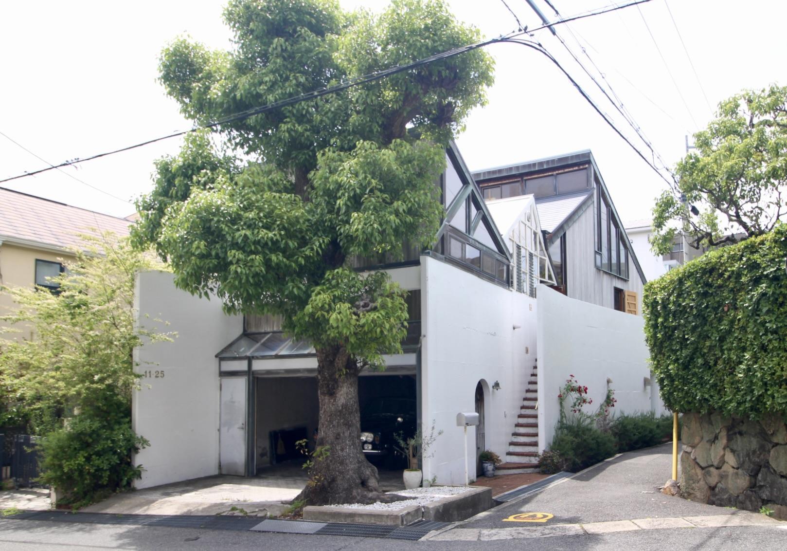 芦屋市翠ケ丘町の売買物件/大きなケヤキと緑に囲まれて、住宅街に凛と佇む一邸。