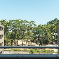 西宮市松並町の賃貸物件/個室からはすぐ隣の公園の風景が