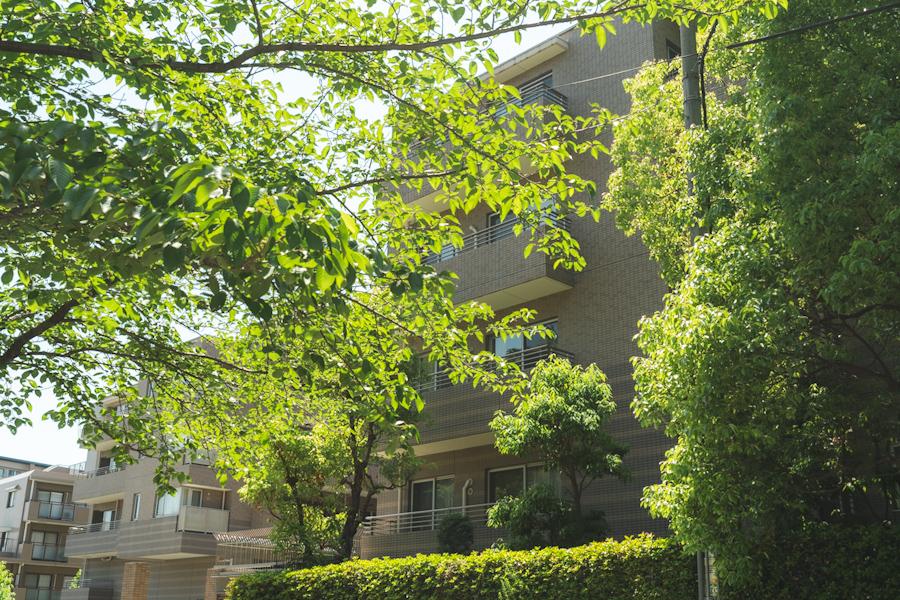 西宮市松並町の賃貸物件/緑の多い街区にある分譲マンション