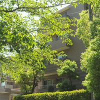 西宮市松並町の賃貸物件/緑の多い街区にある分譲マンション