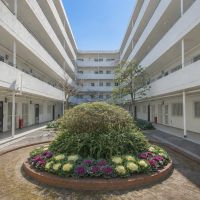 神戸市東灘区住吉山手の売買物件/つい足を止めたくなる中庭。