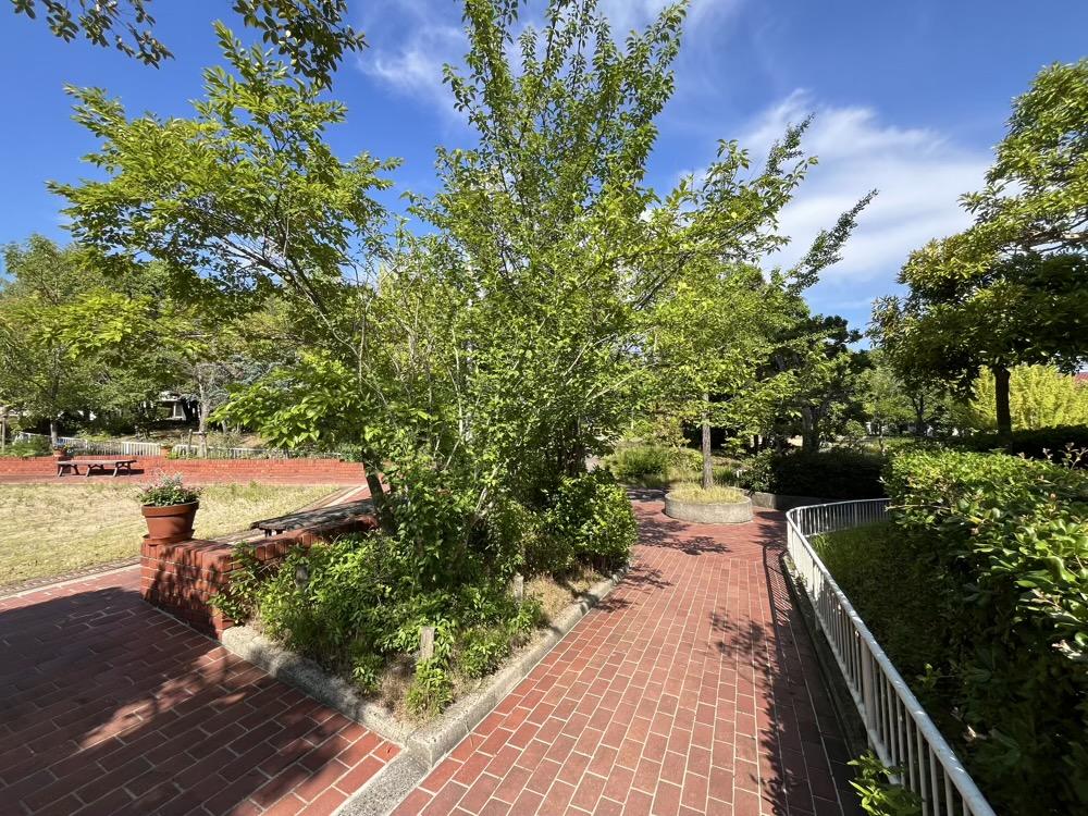 神戸市須磨区神の谷の売買物件/すぐ隣に公園。ここで身体を動かしましょ。