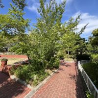 神戸市須磨区神の谷の売買物件/すぐ隣に公園。ここで身体を動かしましょ。