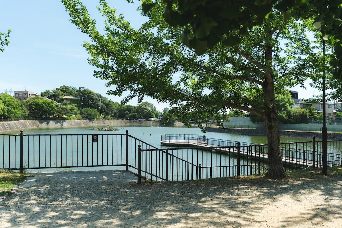 西宮市高座町の売買物件/この公園が近くにあるだけでも嬉しい