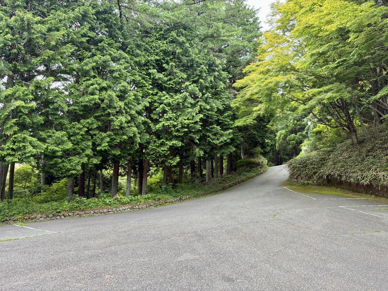 神戸市灘区六甲山町西谷山の売買物件/サンライズドライブウェイからマンションへのアプローチ