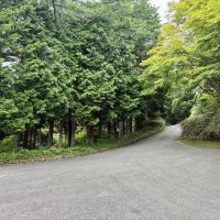 神戸市灘区六甲山町西谷山の売買物件/サンライズドライブウェイからマンションへのアプローチ