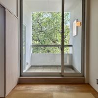 芦屋市翠ケ丘町の賃貸物件/ポーチ。目の前に桜の木