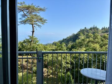 神戸市灘区六甲山町の売買物件/愛しの中庭
