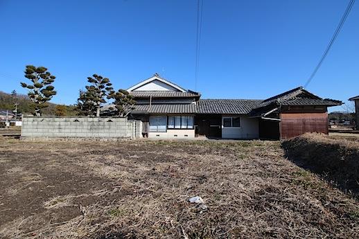 正面からの姿