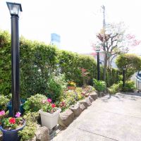 神戸市中央区山本通の賃貸物件/緑と花に彩られたアプローチ