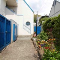 神戸市中央区山本通の賃貸物件/緑と花に彩られたアプローチ