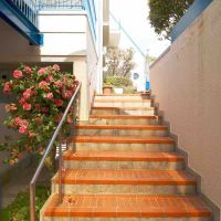 神戸市中央区山本通の賃貸物件/共用階段