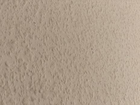 宝塚市高司の賃貸物件/おがくずの入ったクロス