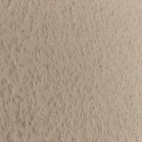 宝塚市高司の賃貸物件/おがくずの入ったクロス