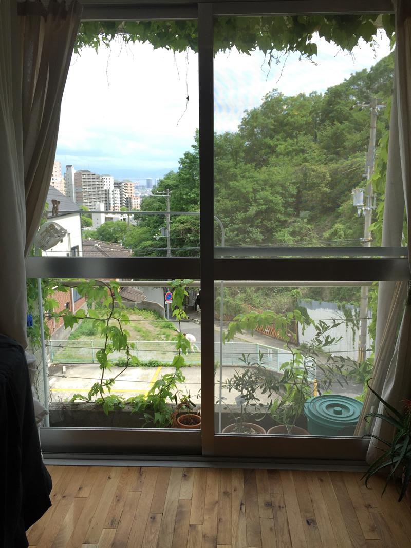 神戸市灘区篠原台の賃貸物件/窓からみえる風景・眼の前に山、遠くに海