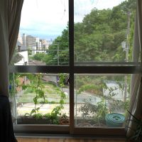 神戸市灘区篠原台の賃貸物件/窓からみえる風景・眼の前に山、遠くに海