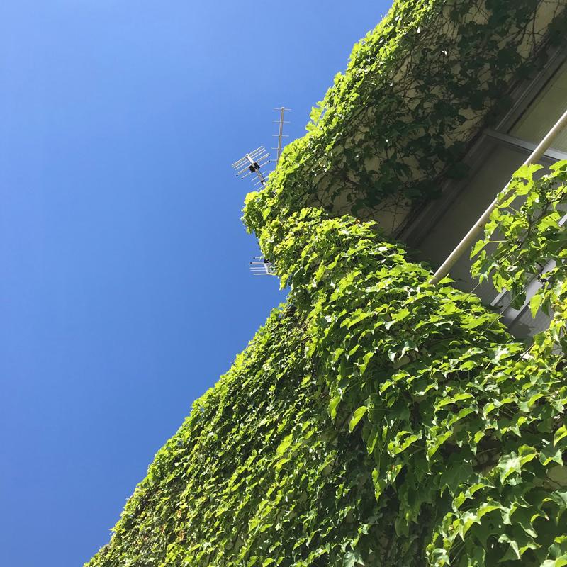 神戸市灘区篠原台の賃貸物件/外観