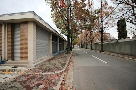 紅葉した並木に平屋が映える