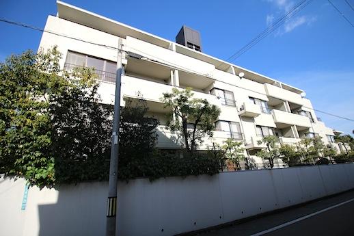 植栽が映える邸宅のような外堀
