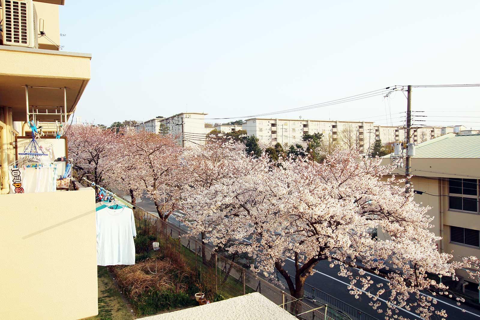 南側の眺め。空が広く気持ちいい。