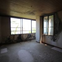 神戸市垂水区塩屋町の売買物件/2階北東洋室。雨漏れにより室内は黒カビ化