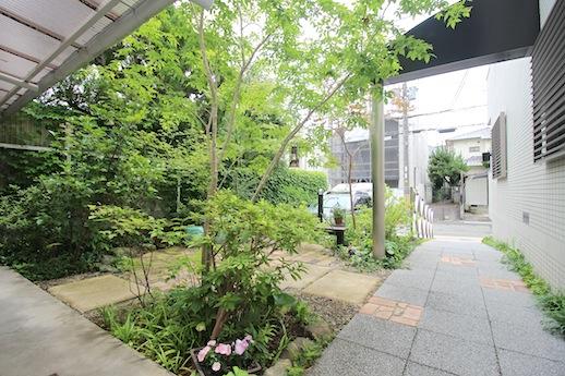 宝塚市野上の賃貸物件/共用庭を通る度にホッとします