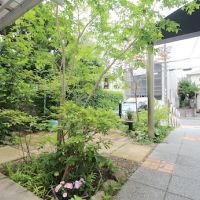 宝塚市野上の賃貸物件/共用庭を通る度にホッとします