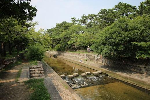 親子で川に入り、魚をとってる姿も